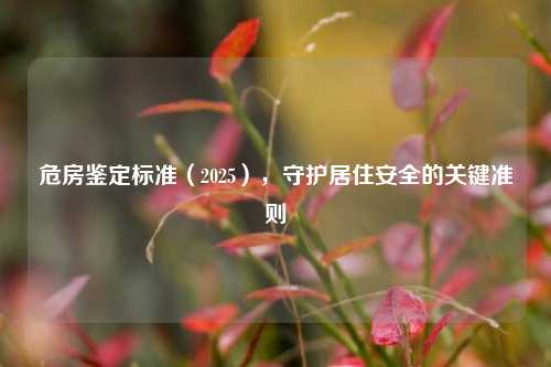 危房鉴定标准(2025),守护居住安全的关键准则