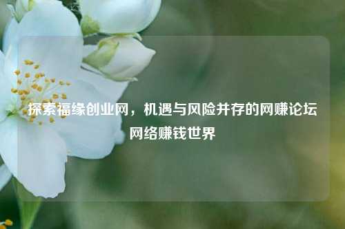 探索福缘创业网，机遇与风险并存的网赚论坛网络赚钱世界