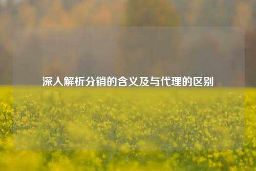 深入解析分销的含义及与代理的区别