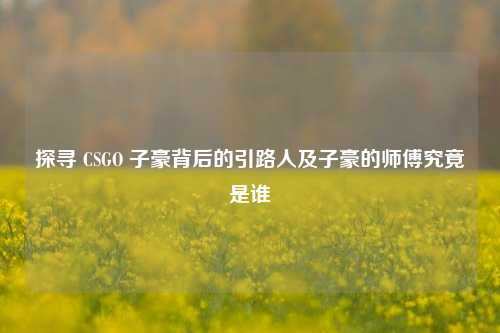 探寻 CSGO 子豪背后的引路人及子豪的师傅究竟是谁