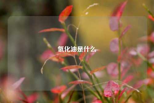 氢化油是什么