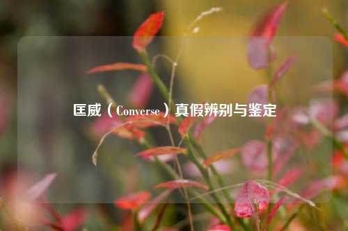匡威（Converse）真假辨别与鉴定