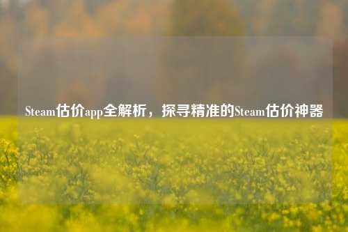 Steam估价app全解析,探寻精准的Steam估价神器