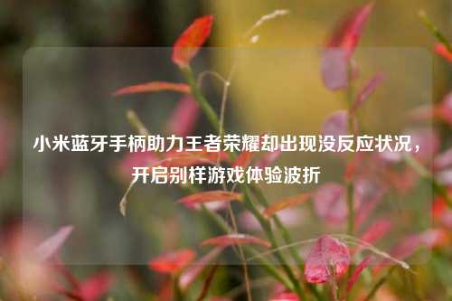 小米蓝牙手柄助力王者荣耀却出现没反应状况，开启别样游戏体验波折