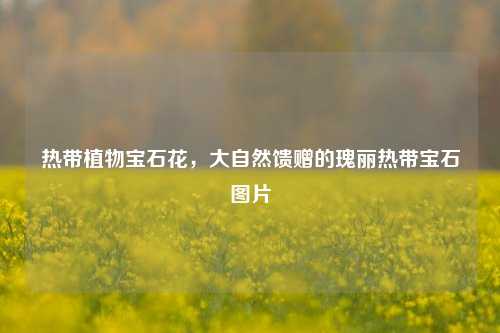 热带植物宝石花，大自然馈赠的瑰丽热带宝石图片