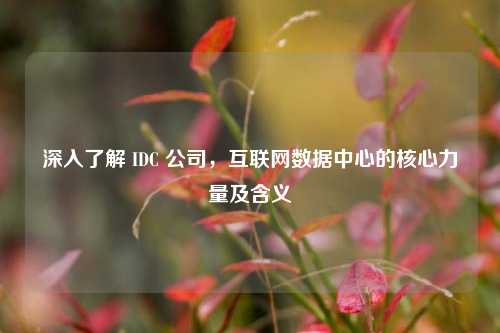 深入了解 IDC 公司，互联网数据中心的核心力量及含义