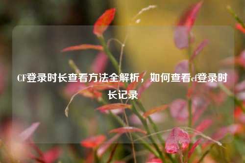 CF登录时长查看方法全解析，如何查看cf登录时长记录