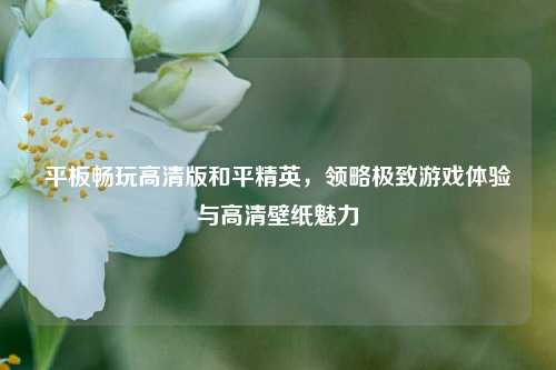 平板畅玩高清版和平精英，领略极致游戏体验与高清壁纸魅力