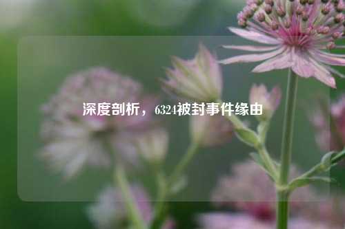 深度剖析，6324被封事件缘由