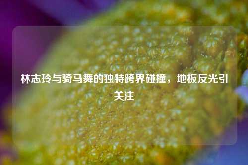 林志玲与骑马舞的独特跨界碰撞,地板反光引关注