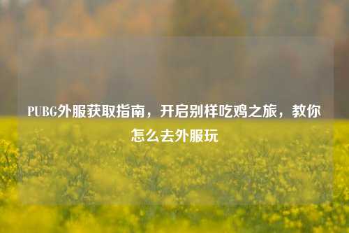 PUBG外服获取指南，开启别样吃鸡之旅，教你怎么去外服玩