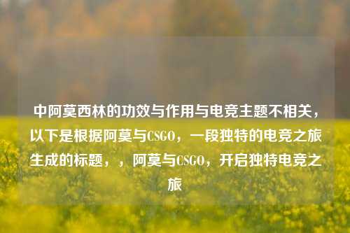 中阿莫西林的功效与作用与电竞主题不相关，以下是根据阿莫与CSGO，一段独特的电竞之旅生成的标题，，阿莫与CSGO，开启独特电竞之旅