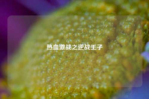 热血激战之逆战王子