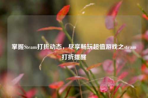 掌握Steam打折动态,尽享畅玩超值游戏之steam打折提醒