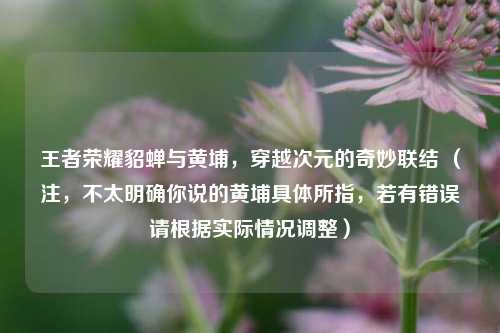王者荣耀貂蝉与黄埔，穿越次元的奇妙联结 （注，不太明确你说的黄埔具体所指，若有错误请根据实际情况调整）