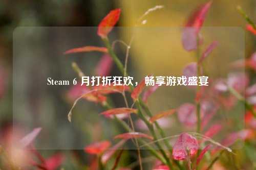 Steam 6 月打折狂欢，畅享游戏盛宴
