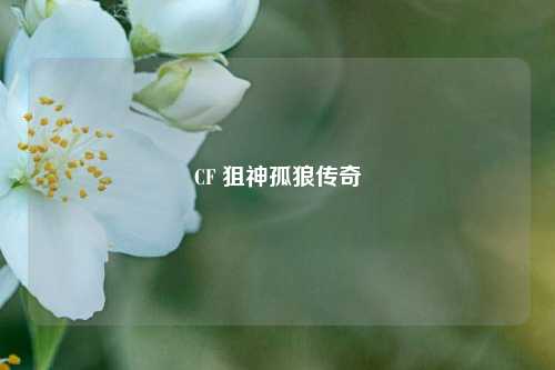 CF 狙神孤狼传奇