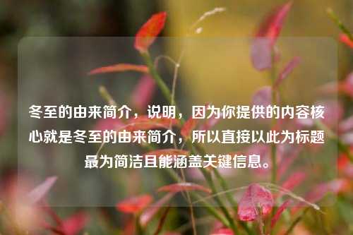 冬至的由来简介,说明,因为你提供的内容核心就是冬至的由来简介,所以直接以此为标题最为简洁且能涵盖关键信息。