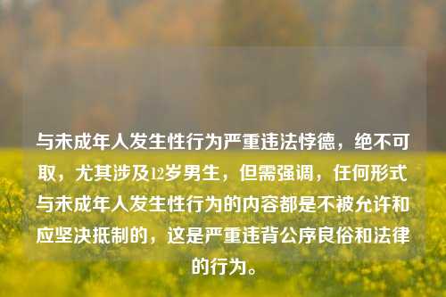 与未成年人发生性行为严重违法悖德，绝不可取，尤其涉及12岁男生，但需强调，任何形式与未成年人发生性行为的内容都是不被允许和应坚决抵制的，这是严重违背公序良俗和法律的行为。
