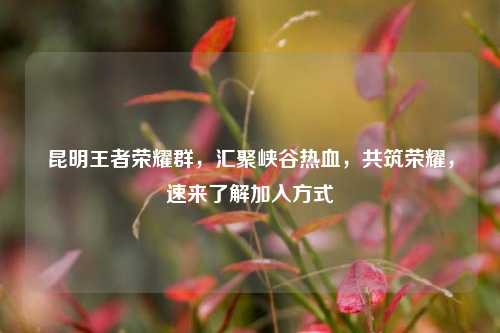 昆明王者荣耀群，汇聚峡谷热血，共筑荣耀，速来了解加入方式