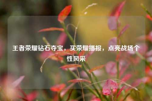 王者荣耀钻石夺宝,买荣耀播报,点亮战场个性风采