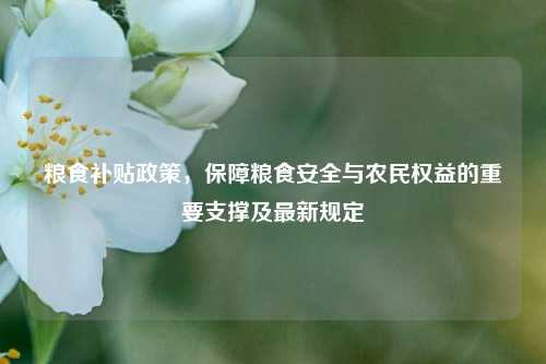 粮食补贴政策，保障粮食安全与农民权益的重要支撑及最新规定