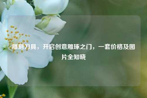 雕刻刀具，开启创意雕琢之门，一套价格及图片全知晓