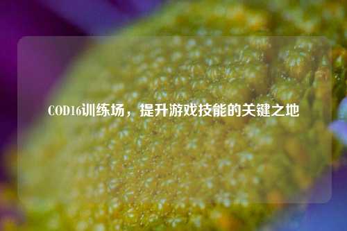 COD16训练场,提升游戏技能的关键之地