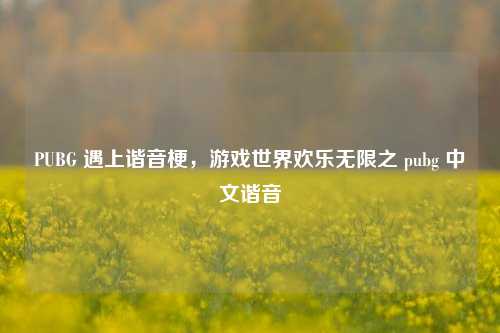 PUBG 遇上谐音梗，游戏世界欢乐无限之 pubg 中文谐音