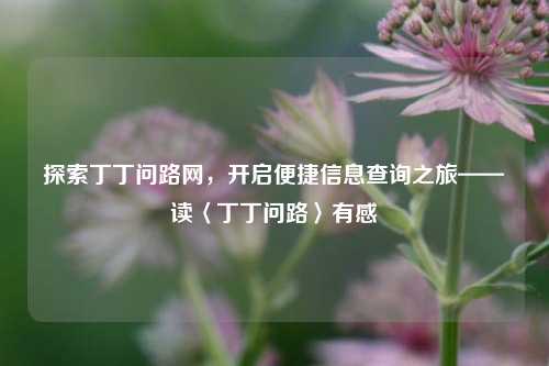 探索丁丁问路网,开启便捷信息查询之旅——读〈丁丁问路〉有感