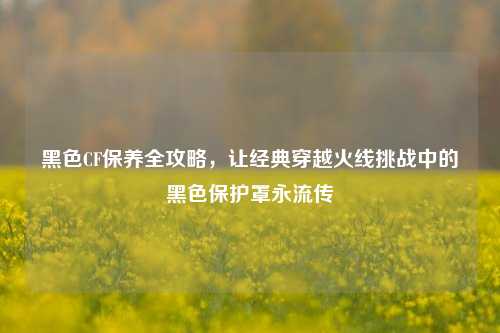 黑色CF保养全攻略,让经典穿越火线挑战中的黑色保护罩永流传