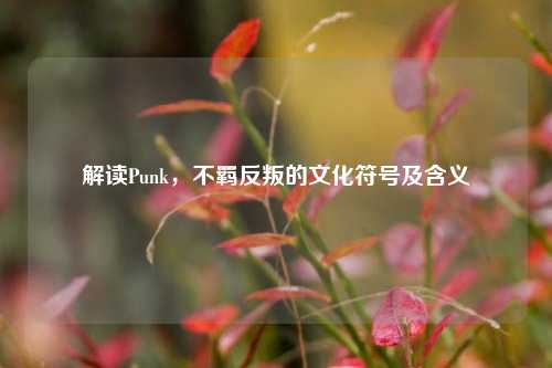 解读Punk，不羁反叛的文化符号及含义