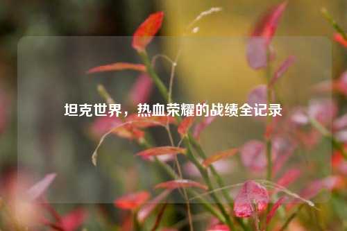 坦克世界，热血荣耀的战绩全记录