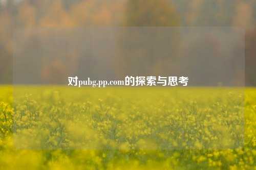 对pubg.pp.com的探索与思考