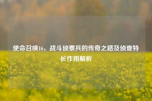 使命召唤16，战斗侦察兵的传奇之路及侦查特长作用解析
