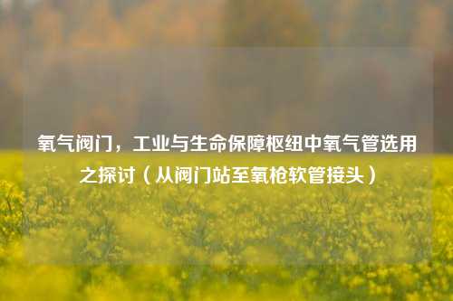 氧气阀门,工业与生命保障枢纽中氧气管选用之探讨(从阀门站至氧枪软管接头)