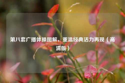 第八套广播体操图解，重温经典活力再现（高清版）