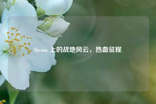 Steam 上的战地风云，热血征程