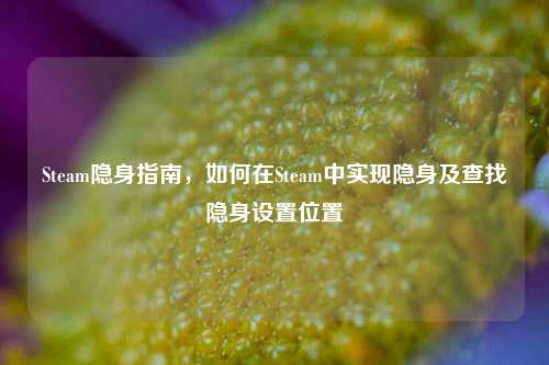 Steam隐身指南，如何在Steam中实现隐身及查找隐身设置位置