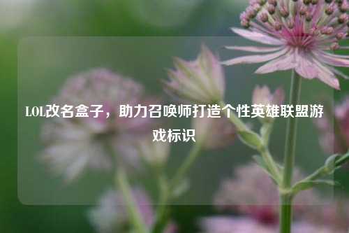 LOL改名盒子,助力召唤师打造个性英雄联盟游戏标识