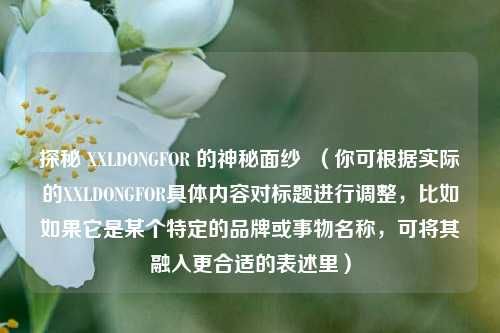 探秘 XXLDONGFOR 的神秘面纱 (你可根据实际的XXLDONGFOR具体内容对标题进行调整,比如如果它是某个特定的品牌或事物名称,可将其融入更合适的表述里)