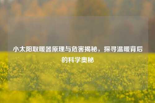 小太阳取暖器原理与危害揭秘，探寻温暖背后的科学奥秘