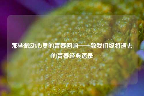 那些触动心灵的青春回响——致我们终将逝去的青春经典语录