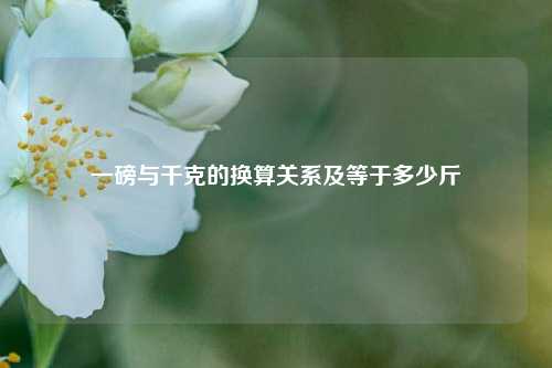 一磅与千克的换算关系及等于多少斤