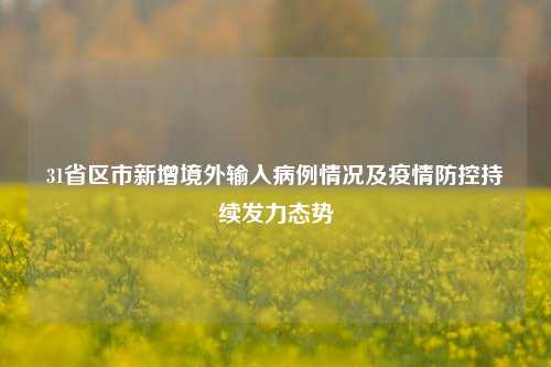 31省区市新增境外输入病例情况及疫情防控持续发力态势
