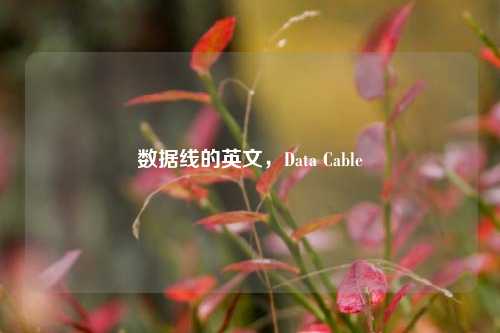数据线的英文,Data Cable