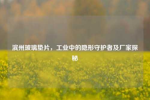滨州玻璃垫片，工业中的隐形守护者及厂家探秘
