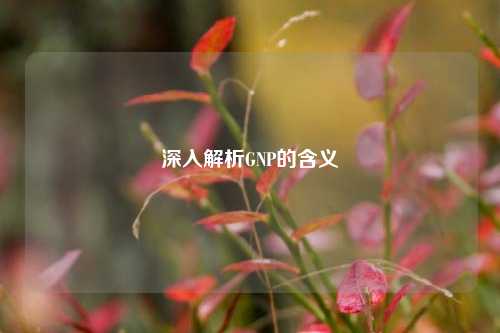 深入解析GNP的含义
