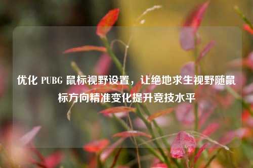 优化 PUBG 鼠标视野设置,让绝地求生视野随鼠标方向精准变化提升竞技水平