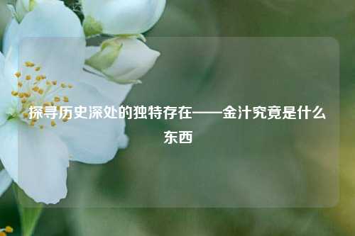 探寻历史深处的独特存在——金汁究竟是什么东西